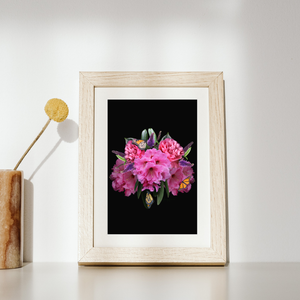 Art Print - Magic in the Rhodo