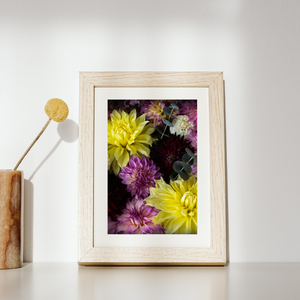 Art Print - Dahlia Delight
