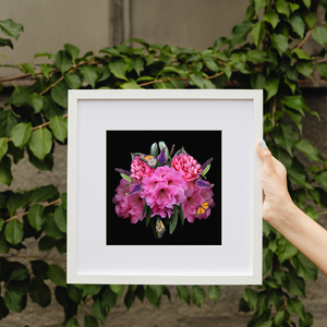 Art Print - Magic in the Rhodo