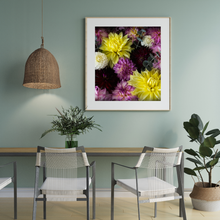 Load image into Gallery viewer, Art Print - Dahlia Delight