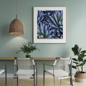 Art Print - Botanical Agave