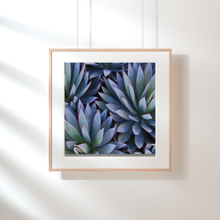Load image into Gallery viewer, Art Print - Botanical Agave