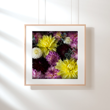 Load image into Gallery viewer, Art Print - Dahlia Delight