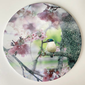 Ceramic Wall Art Tile 20cm - Cherry Blossom King (Circular)