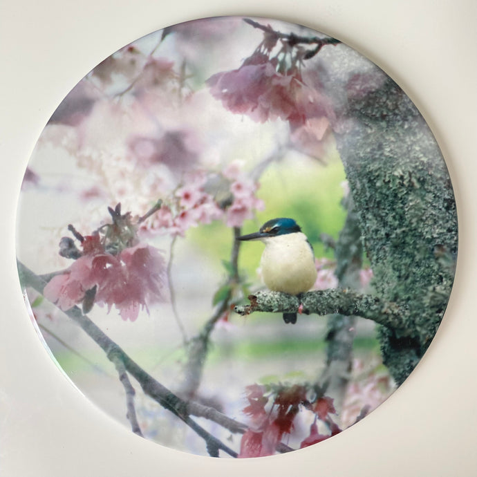 Ceramic Wall Art Tile 20cm - Cherry Blossom King (Circular)