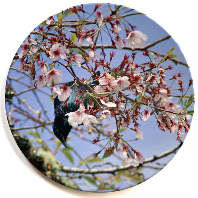 Ceramic Wall Art Tile 20cm - Tui Blossom 3