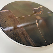 Load image into Gallery viewer, Ceramic Wall Art Tile 20cm - Bird On A Wire (Circular)