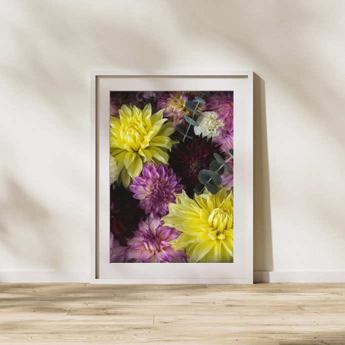 Art Print - Dahlia Delight
