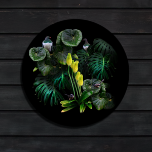 A digital image of Ashleigh's artwork composed with native birds in a garden scene