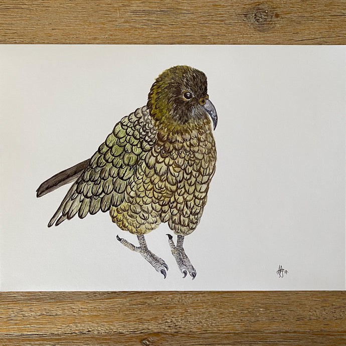 Watercolour Art Prints A4