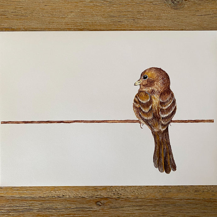 Watercolour Art Prints A4
